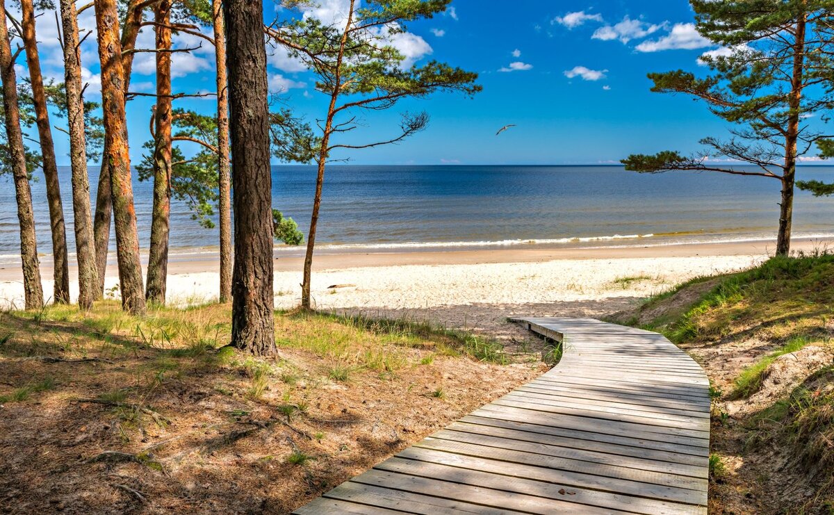Jūrmala — forêt de pins rencontrant le sable blanc de la mer Baltique, à 25 km de Riga.