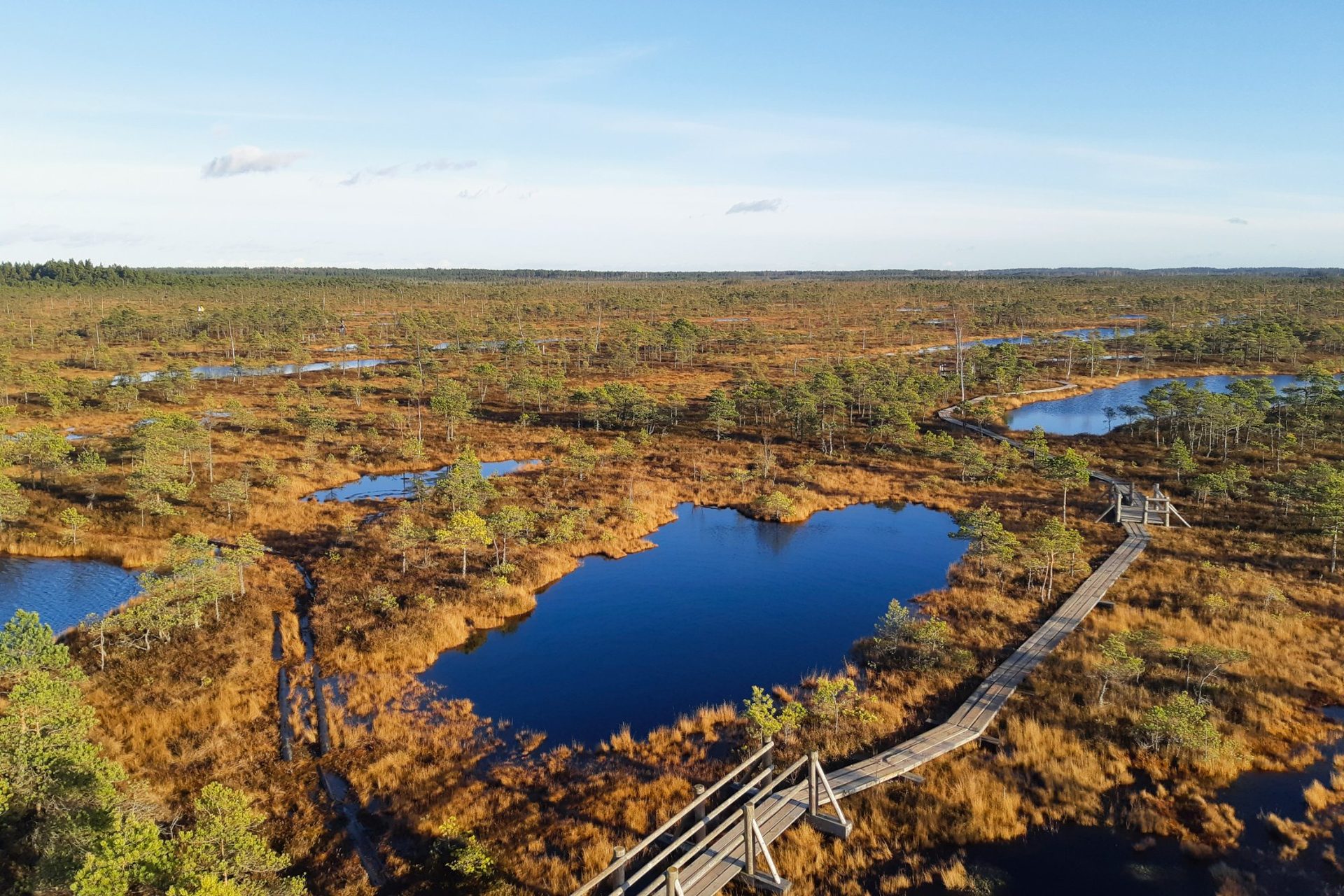 La grande tourbière de Ķemeri dans les couleurs de l'automne, vue depuis la tour d'observation