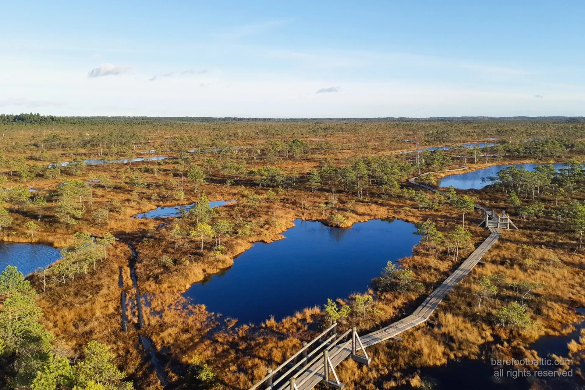 La grande tourbière de Ķemeri dans les couleurs de l'automne, vue depuis la tour d'observation