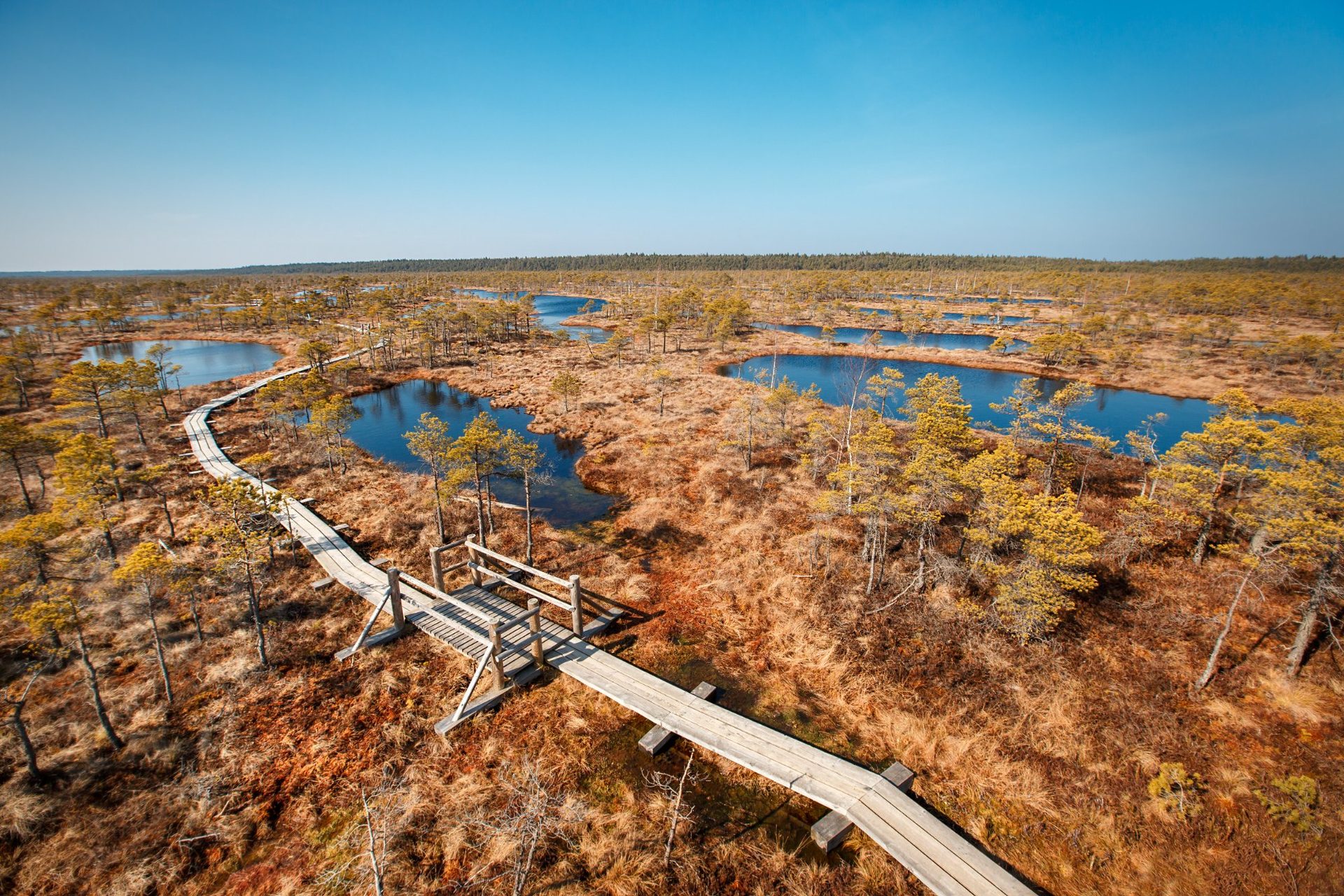 Vue aérienne du sentier en planches de la grande tourbière de Ķemeri serpentant entre des mares sombres comme un miroir