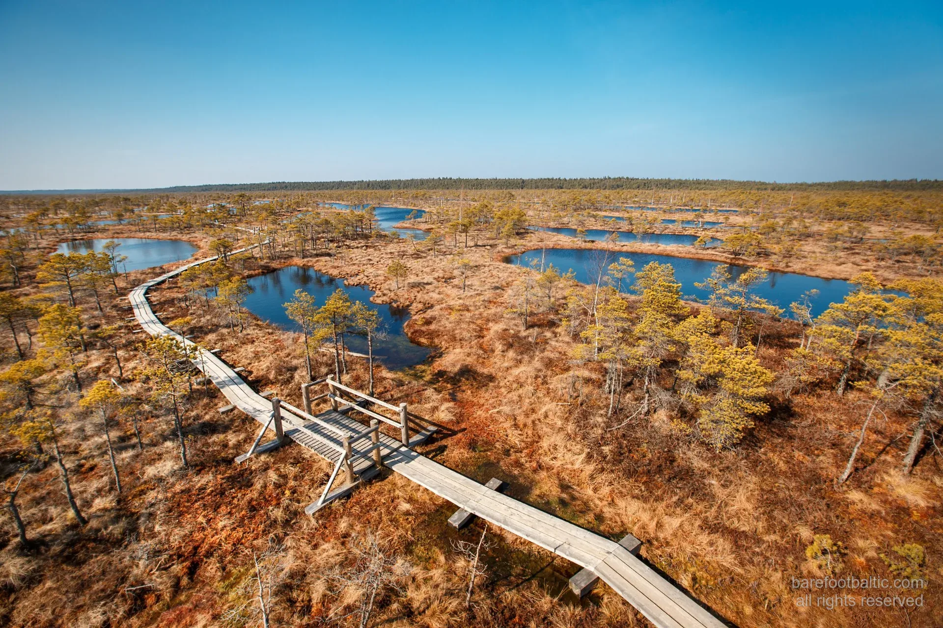 Vue aérienne du sentier en planches de la grande tourbière de Ķemeri serpentant entre des mares sombres comme un miroir