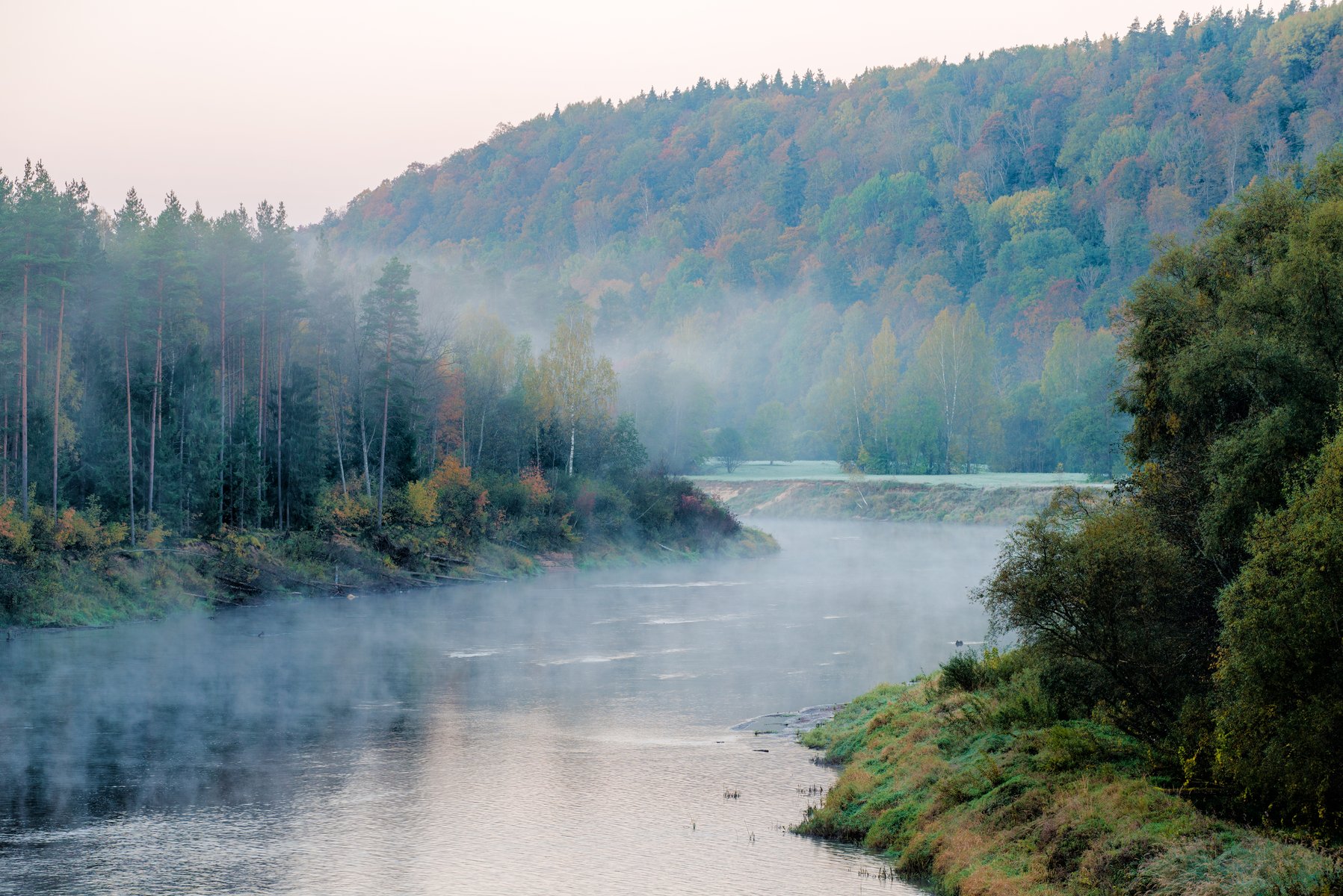 La rivière Gauja à l&rsquo;aube avec la brume du matin s&rsquo;élevant à travers la forêt d&rsquo;automne