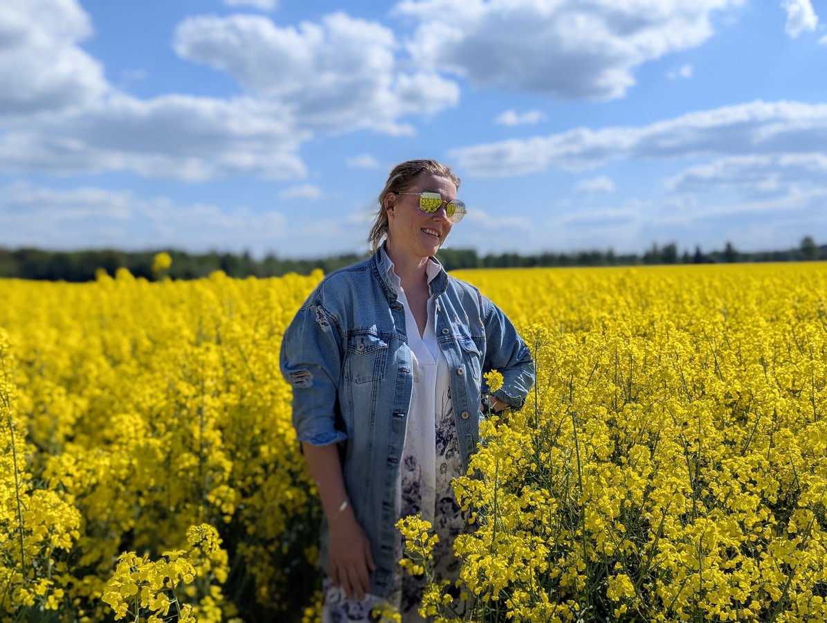 Un champ de colza en fleur, le printemps dans la vallée de la Gauja