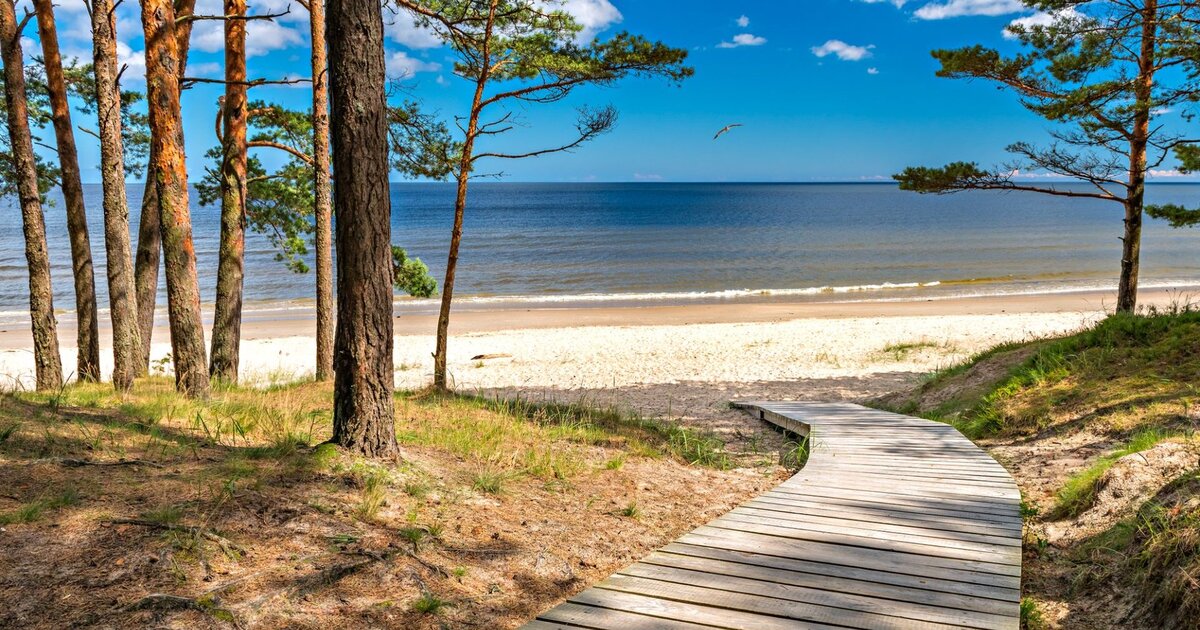Jūrmala — forêt de pins rencontrant le sable blanc de la mer Baltique, à 25 km de Riga.